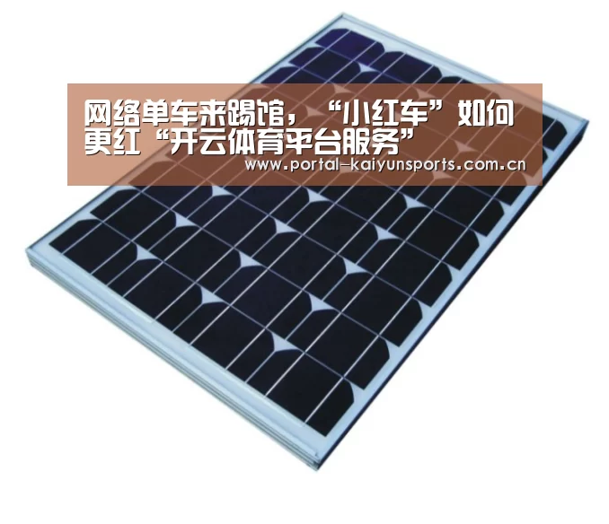 开云体育高清直播