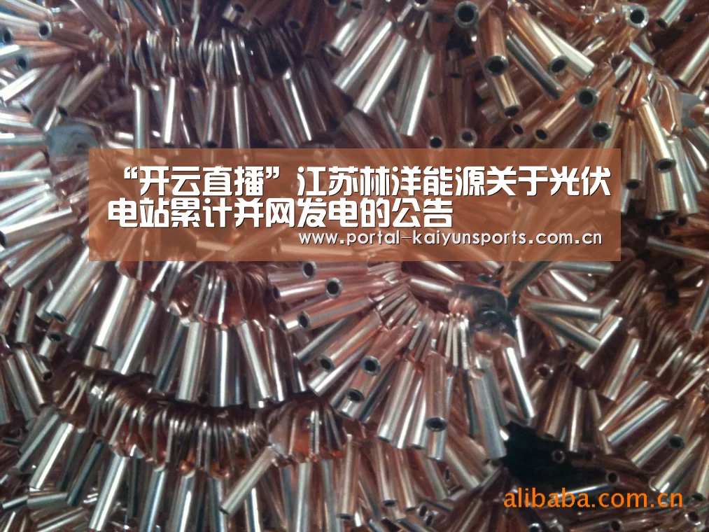 “开云直播”江苏林洋能源关于光伏电站累计并网发电的公告(图1) 开云体育数据