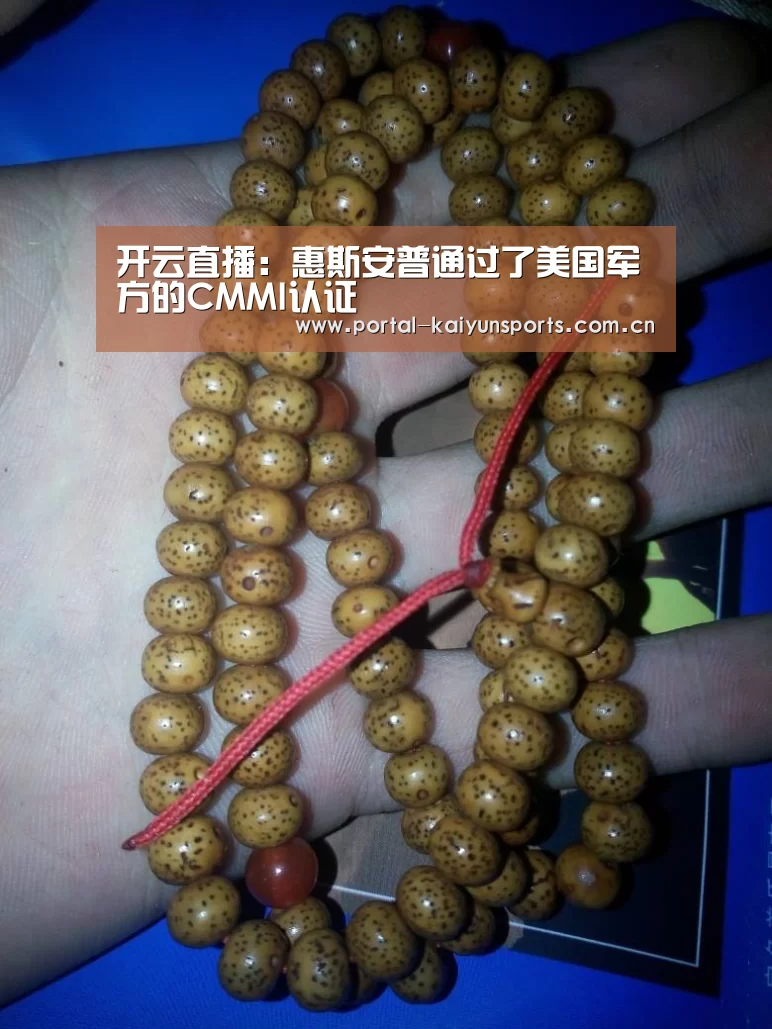 开云直播:惠斯安普通过了美国军方的CMMI认证(图2) 开云体育平台服务
