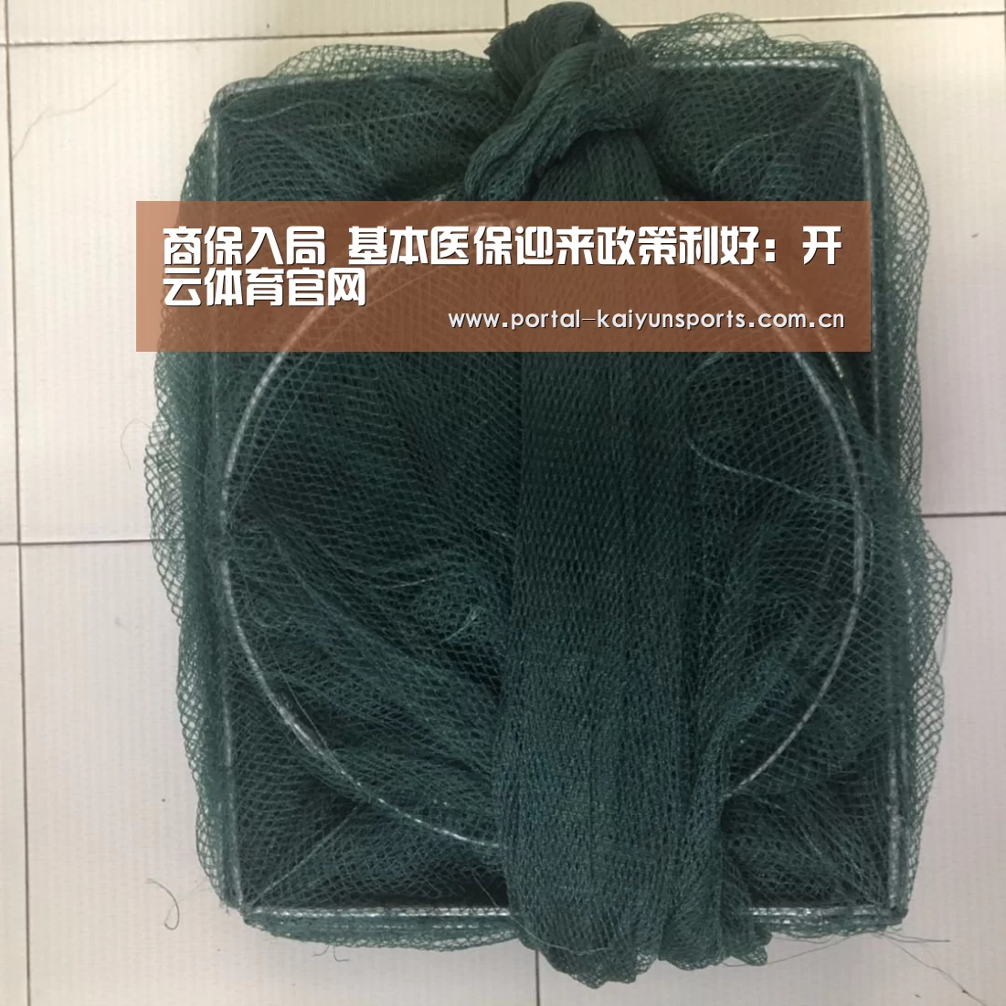开云体育数据