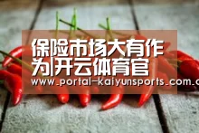 保险市场大有作为|开云体育官网(图1) 开云体育高清直播
