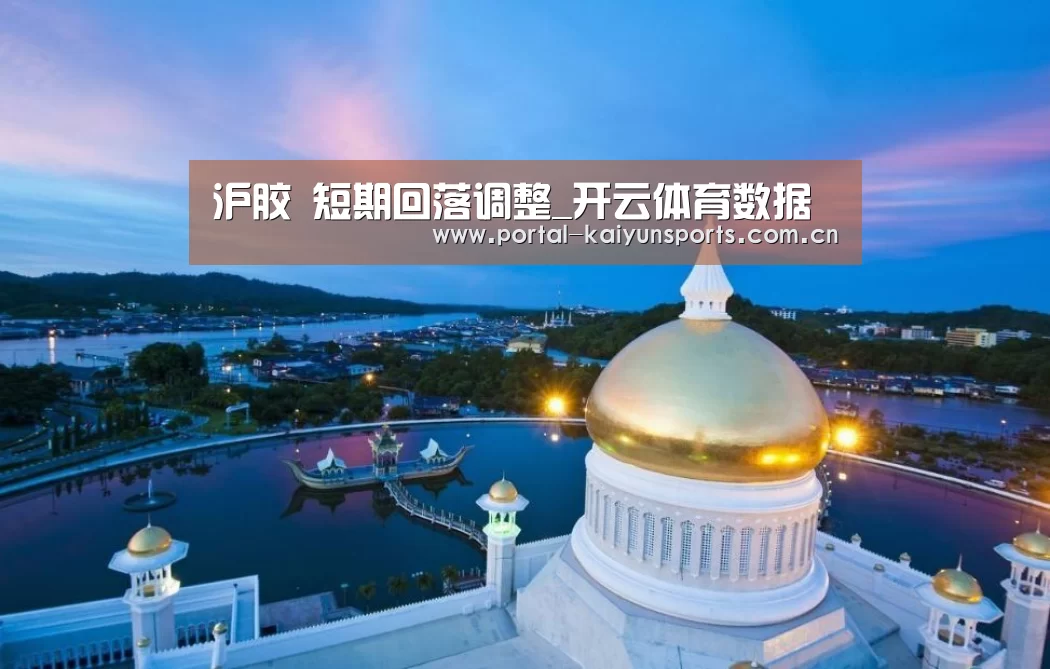 沪胶 短期回落调整_开云体育数据(图1) 开云体育官网
