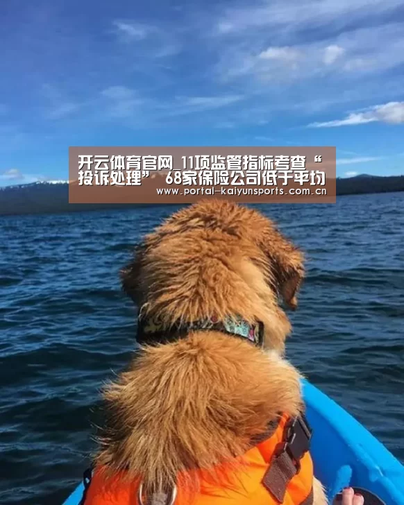 开云体育官网_11项监管指标考查“投诉处理” 68家保险公司低于平均分(图2) 开云直播